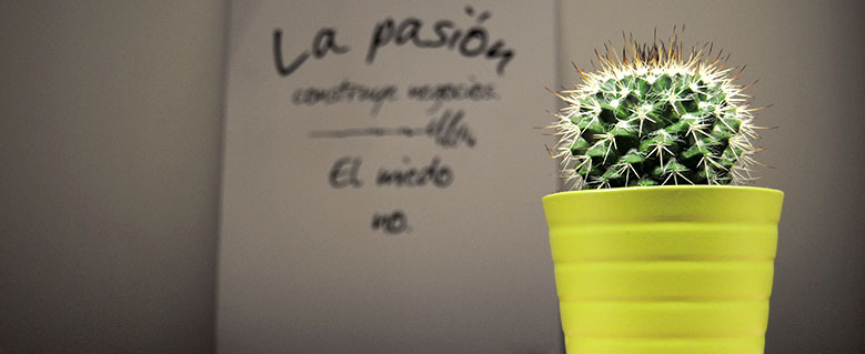 La imagen como gancho