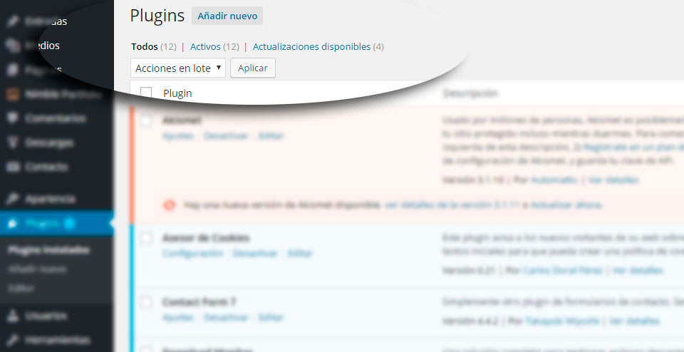 Actualizaciones Plugins