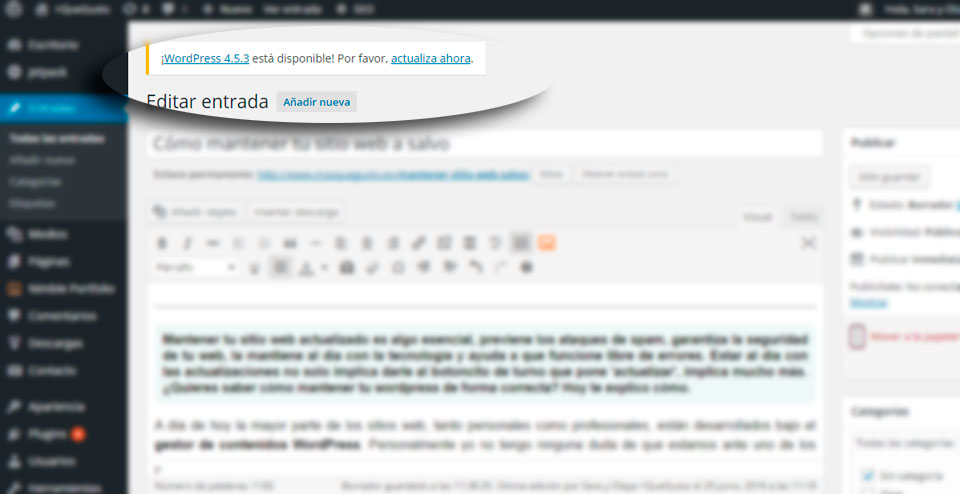 Actualizar WordPress